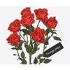Роза кустовая Xflora Orange Pops 