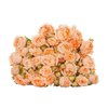 Роза кустовая Apricot Lace