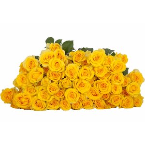 Роза кустовая Goldilock