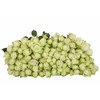 Роза кустовая Green Glow