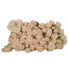 Роза кустовая Roslin