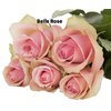 Роза одноголовая Belle Rose 