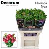 Альстромерия Flor Charm Noa 75cm
