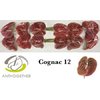 Anth A Cognac *12