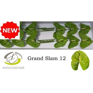 Anth A Grand Slam *12