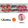 Anth A Max Elegancia *12
