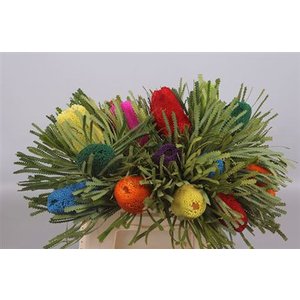Banksia Dyed Mix