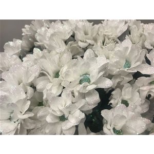 Chr Tr Bacardi Dyed White + Glitter