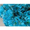 Chr Tr Baltica Dyed Blue Bay