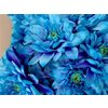 Chr Tr Baltica Dyed Blue Lagoon