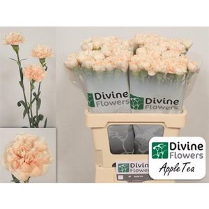 Di St Apple Tea