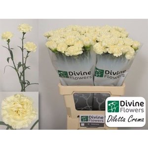 Di St Diletta Crema