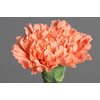 Di St Hermes Orange