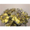 Dianthus St Dyed Butterfly