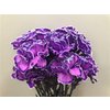 Dianthus St Dyed Milka