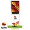 Ge Gr  Box  Mix Autumn
