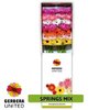 Ge Gr  Box  Spider Mix