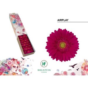 Ge Mi Box Airplay Holstein