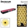 Ge Mi  Box Cream Black Center