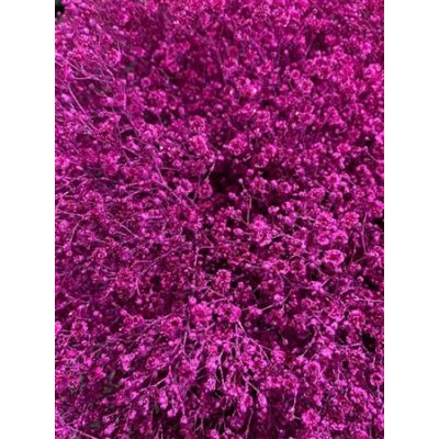 Gyps Million Star Dyed Cerise + Glit
