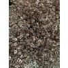 Gyps Million Star Dyed Champagne