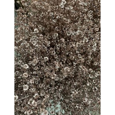 Gyps Million Star Dyed Champagne