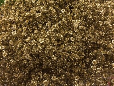 Gyps Million Star Dyed Gold