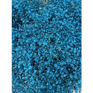 Gyps Million Star Dyed Light Blue