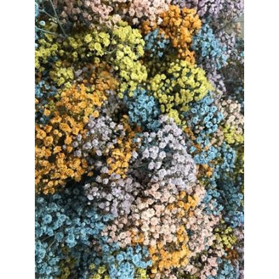 Gyps Million Star Dyed Pastel Rainbow