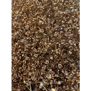Gyps Xlence Dyed Copper