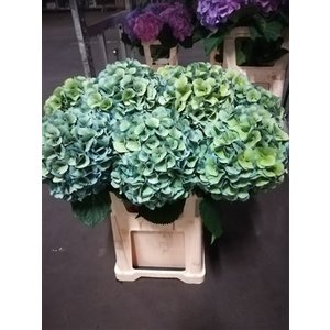 Hydr Cl M Mammoet Blue Green Cl Super