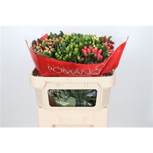 Hyp Rainbow Romance Spray