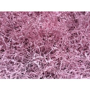Lim Beltaard Dyed Light Pink