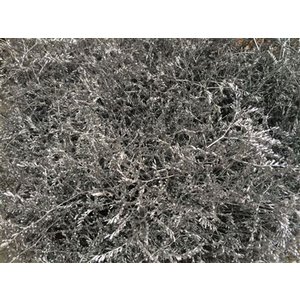 Lim Beltaard Dyed Silver