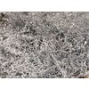 Lim Beltaard Dyed White