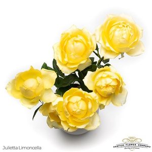 Роза Garden Julietta Limoncela Spray