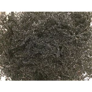 Solidago Dyed Black 80cm