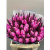 Tulp Dyed Curacao