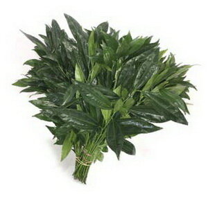Cocculus