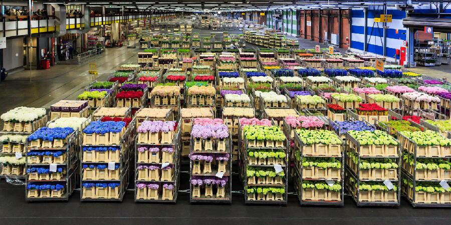 Доставка цветочной продукции
